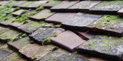 West Mersea roof repair costs
